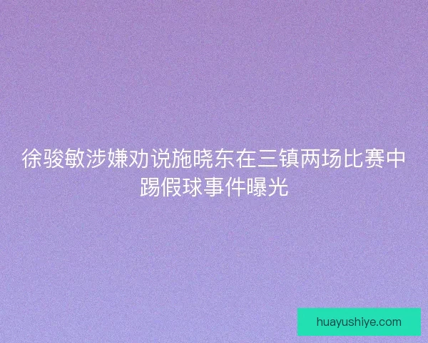 徐骏敏涉嫌劝说施晓东在三镇两场比赛中踢假球事件曝光